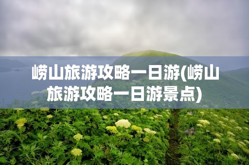 崂山旅游攻略一日游(崂山旅游攻略一日游景点)