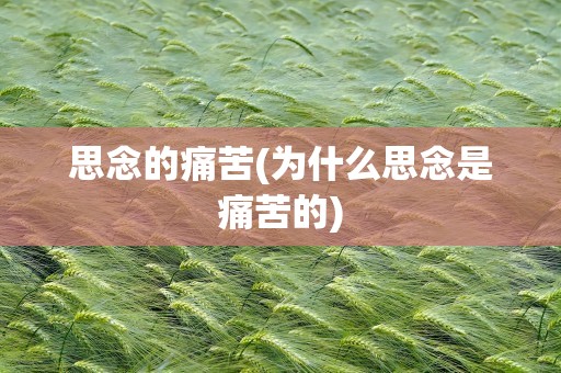 思念的痛苦(为什么思念是痛苦的)