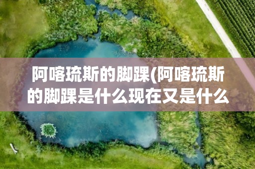 阿喀琉斯的脚踝(阿喀琉斯的脚踝是什么现在又是什么意思)