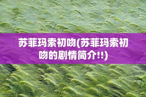 苏菲玛索初吻(苏菲玛索初吻的剧情简介!!)