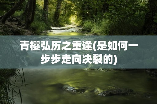 青樱弘历之重逢(是如何一步步走向决裂的)