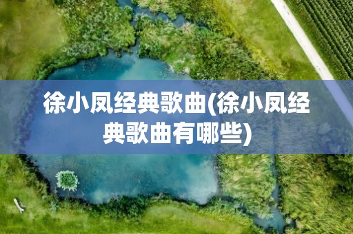 徐小凤经典歌曲(徐小凤经典歌曲有哪些)