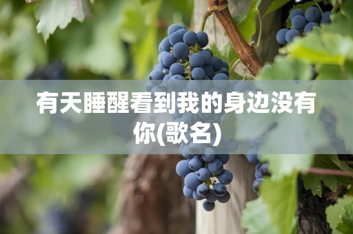 有天睡醒看到我的身边没有你(歌名)