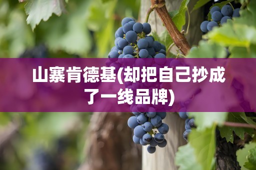 山寨肯德基(却把自己抄成了一线品牌)