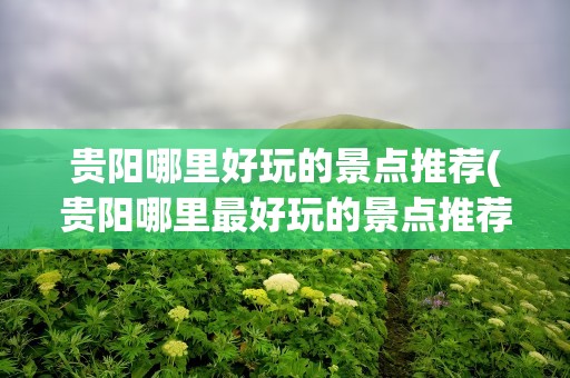 贵阳哪里好玩的景点推荐(贵阳哪里最好玩的景点推荐)