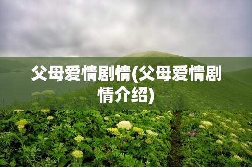 父母爱情剧情(父母爱情剧情介绍)