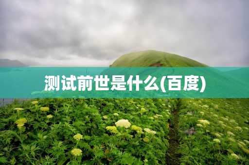 测试前世是什么(百度)