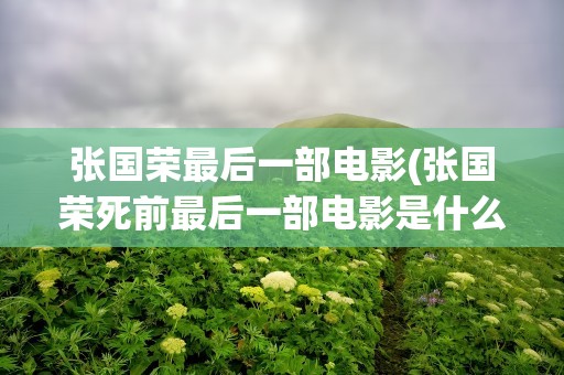 张国荣最后一部电影(张国荣死前最后一部电影是什么)