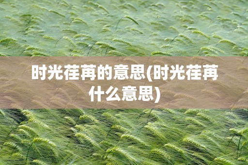 时光荏苒的意思(时光荏苒什么意思)