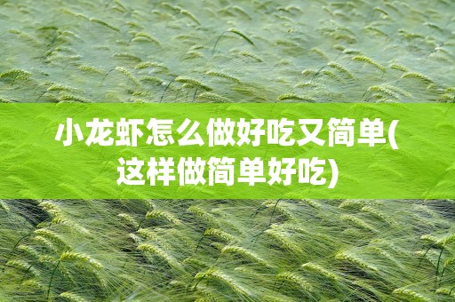 小龙虾怎么做好吃又简单(这样做简单好吃)