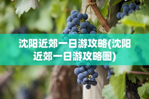 沈阳近郊一日游攻略(沈阳近郊一日游攻略图)