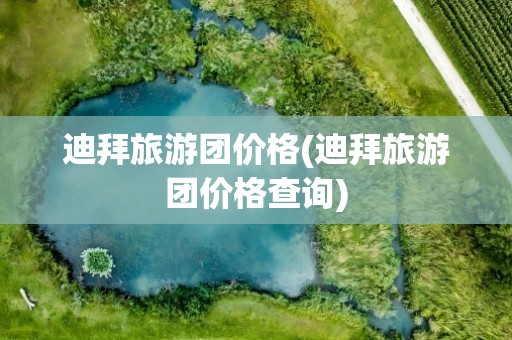 迪拜旅游团价格(迪拜旅游团价格查询)
