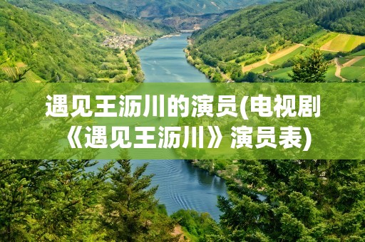 遇见王沥川的演员(电视剧《遇见王沥川》演员表)