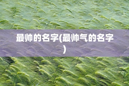 最帅的名字(最帅气的名字)