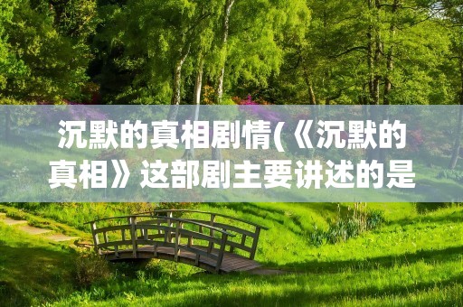 沉默的真相剧情(《沉默的真相》这部剧主要讲述的是什么内容)