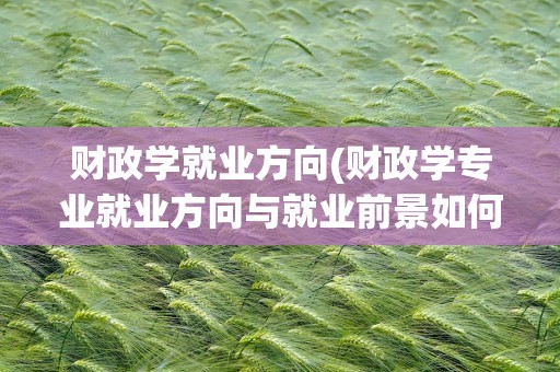 财政学就业方向(财政学专业就业方向与就业前景如何)