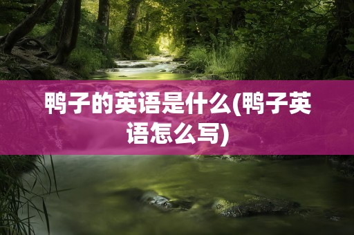 鸭子的英语是什么(鸭子英语怎么写)
