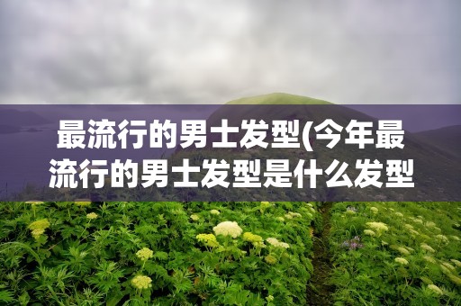 最流行的男士发型(今年最流行的男士发型是什么发型)