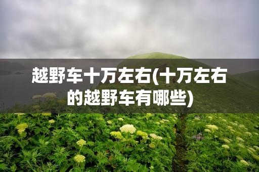 越野车十万左右(十万左右的越野车有哪些)