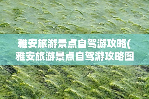雅安旅游景点自驾游攻略(雅安旅游景点自驾游攻略图)