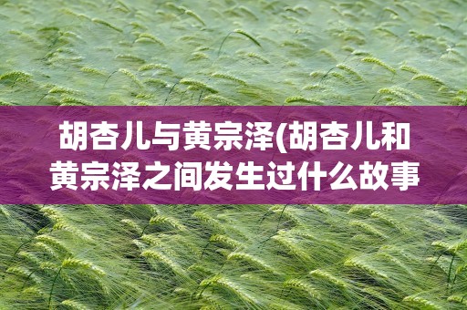 胡杏儿与黄宗泽(胡杏儿和黄宗泽之间发生过什么故事)