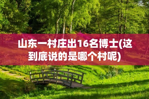 山东一村庄出16名博士(这到底说的是哪个村呢)