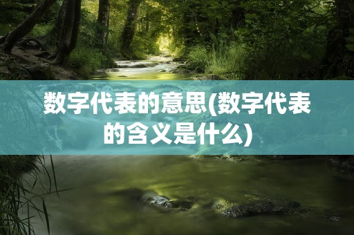 数字代表的意思(数字代表的含义是什么)