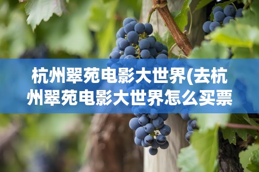 杭州翠苑电影大世界(去杭州翠苑电影大世界怎么买票)