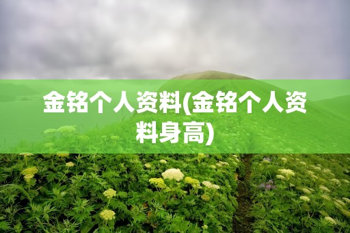 金铭个人资料(金铭个人资料身高)