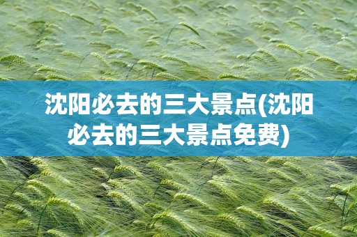 沈阳必去的三大景点(沈阳必去的三大景点免费)