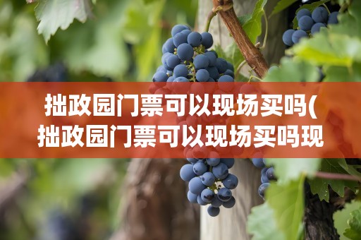 拙政园门票可以现场买吗(拙政园门票可以现场买吗现在)