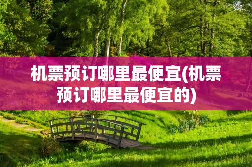 机票预订哪里最便宜(机票预订哪里最便宜的)