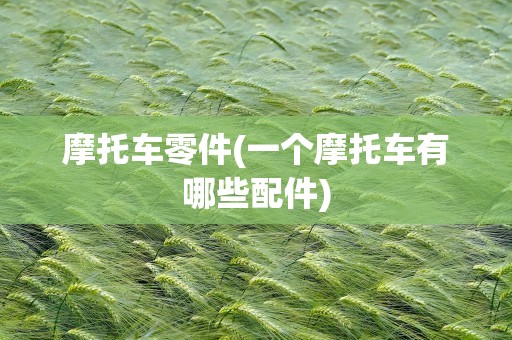 摩托车零件(一个摩托车有哪些配件)