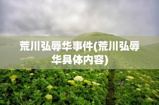 荒川弘辱华事件(荒川弘辱华具体内容)