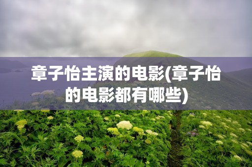 章子怡主演的电影(章子怡的电影都有哪些)