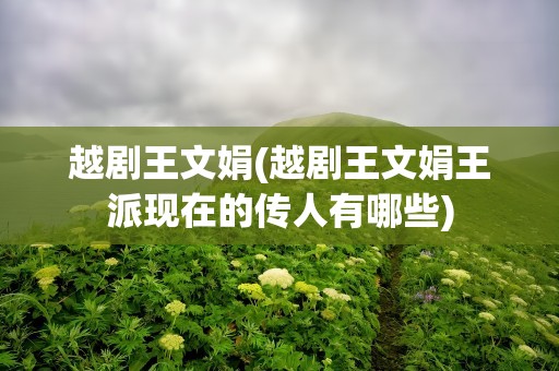 越剧王文娟(越剧王文娟王派现在的传人有哪些)