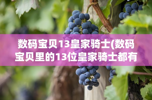 数码宝贝13皇家骑士(数码宝贝里的13位皇家骑士都有哪些)