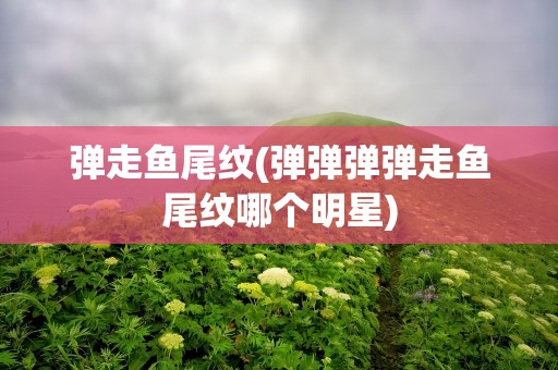 弹走鱼尾纹(弹弹弹弹走鱼尾纹哪个明星)