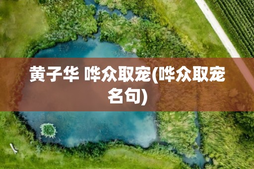 黄子华 哗众取宠(哗众取宠名句)