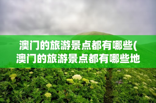 澳门的旅游景点都有哪些(澳门的旅游景点都有哪些地方)