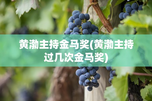 黄渤主持金马奖(黄渤主持过几次金马奖)