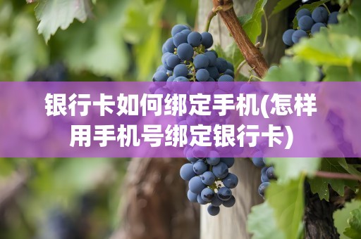 银行卡如何绑定手机(怎样用手机号绑定银行卡)