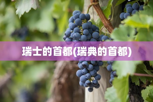 瑞士的首都(瑞典的首都)
