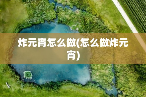 炸元宵怎么做(怎么做炸元宵)