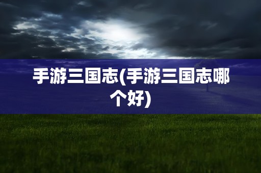 手游三国志(手游三国志哪个好)