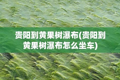 贵阳到黄果树瀑布(贵阳到黄果树瀑布怎么坐车)