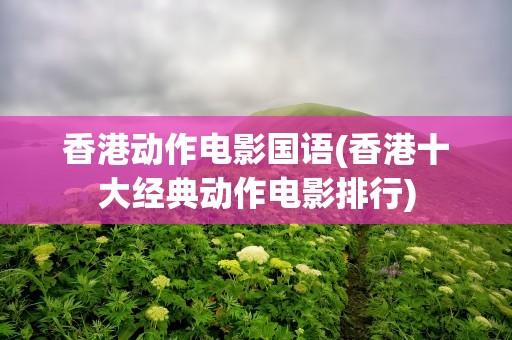 香港动作电影国语(香港十大经典动作电影排行)