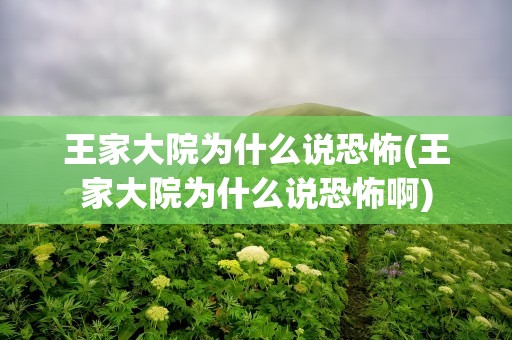 王家大院为什么说恐怖(王家大院为什么说恐怖啊)