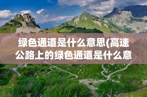 绿色通道是什么意思(高速公路上的绿色通道是什么意思您好,)