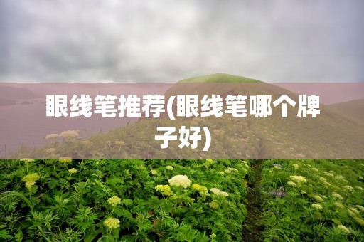 眼线笔推荐(眼线笔哪个牌子好)